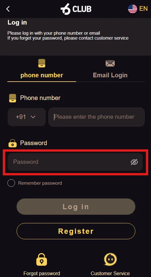 An image of login page with a red box highlighting the field to enter the registered account password.